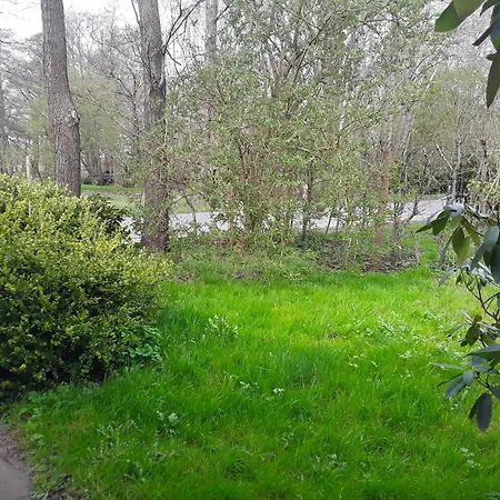 Oppeln 21 Wingst